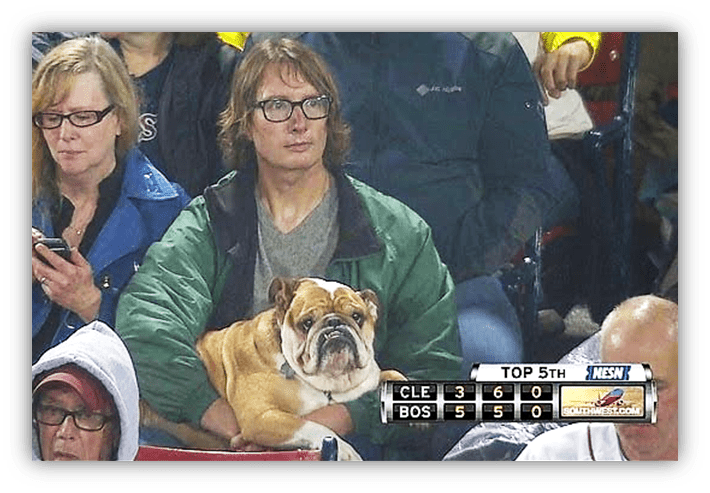 Man holding a bulldog at a baseball game, surrounded by spectators.
