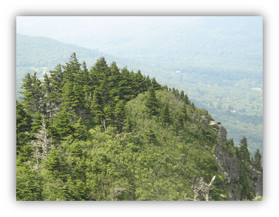 "Scenic mountain peak with lush greenery and distant valleys."