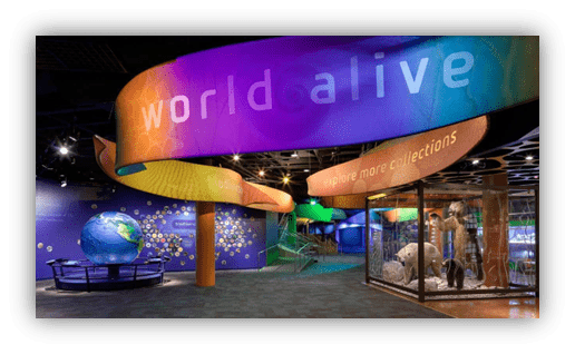 "Colorful exhibit entrance of 'World Alive' featuring a globe and interactive displays."
