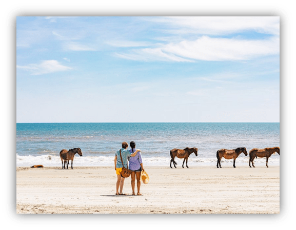 Couple standing on a beach watching wild horses by the sea.