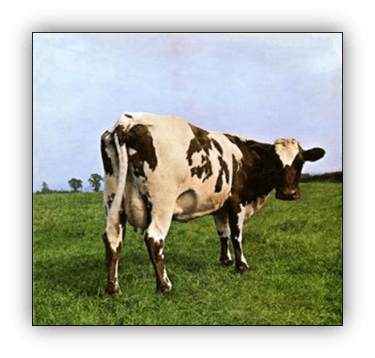 "Brown and white dairy cow grazing in a green field."