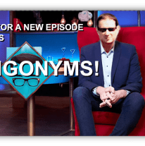 Alt text: "Promotional image for JJ's Singonyms featuring a host in sunglasses seated in a red chair."