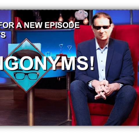 Alt text: "Promotional image for JJ's Singonyms featuring a host in sunglasses seated in a red chair."