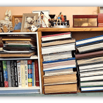 Bookshelves filled with various books, framed photos, and decorative items.