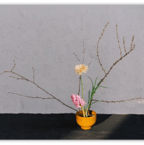 "Minimalist flower arrangement in a yellow bowl with branches and blooms."
