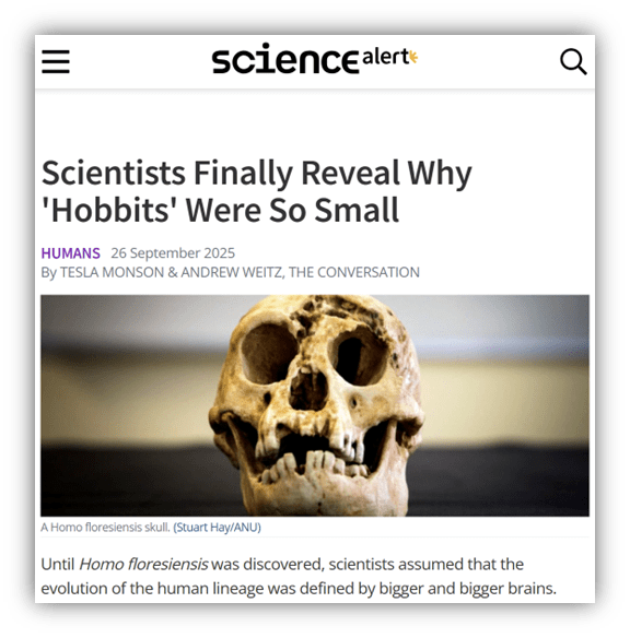 Alt text: "Homo floresiensis skull highlighting small brain size and unique features."