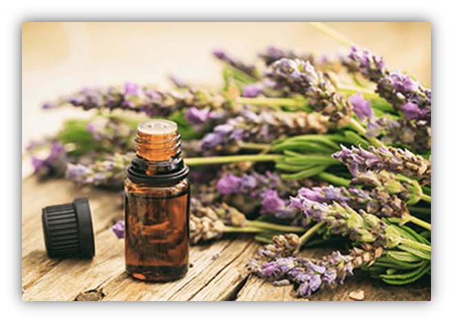 Lavender essential oil bottle beside fresh lavender flowers on wooden surface.