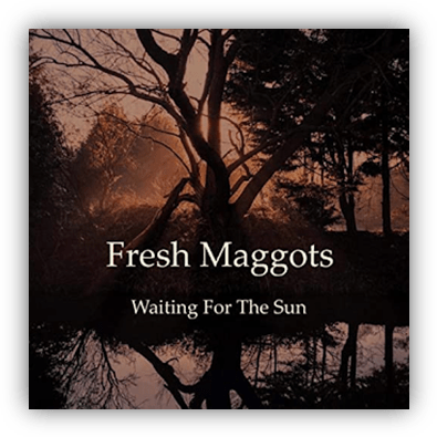 Album cover for "Waiting For The Sun" by Fresh Maggots, featuring a serene landscape at dusk.